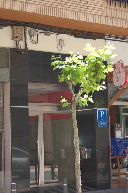 Pension Cinco Villas Logroño Eksteriør bilde